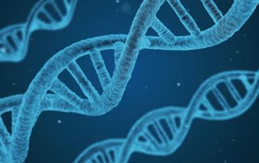 Kłopoty z DNA Piastów. Czy odkryjemy zagadkę naszego pochodzenia?
