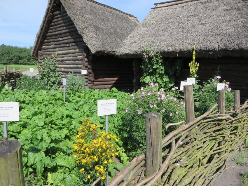 Ogródek warzywny przed chatą (fot. lednicamuzeum.pl)